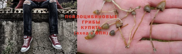apvp Волоколамск