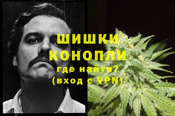 соль ск Волосово